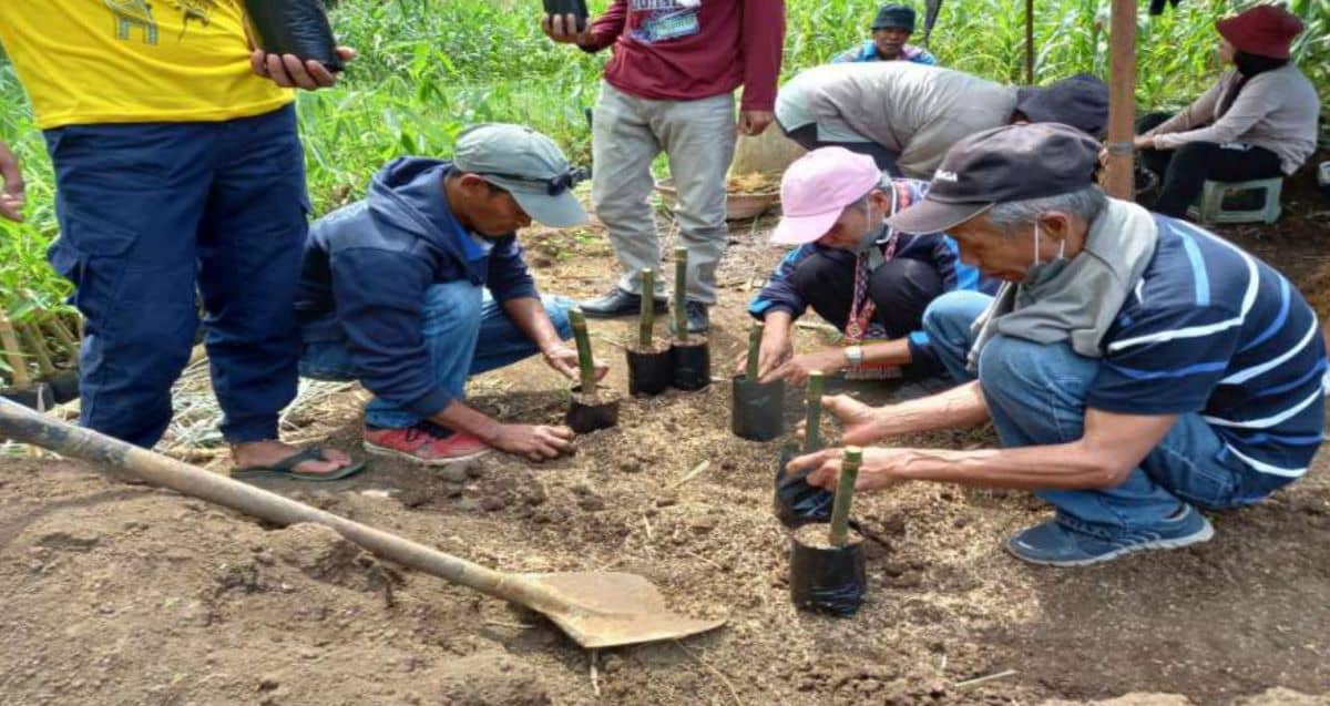 Climate Resilience Utilizing Indigenous Knowledge And Practices For